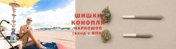 ГАЛЛЮЦИНОГЕННЫЕ ГРИБЫ Волосово